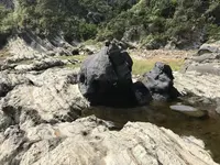 盗人狩の写真・動画_image_307167