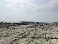 盗人狩の写真・動画_image_307188