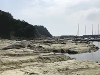 盗人狩の写真・動画_image_307190