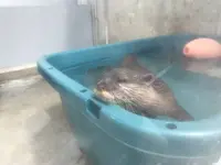 【閉業】京急油壺マリンパークの写真・動画_image_307231