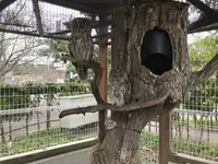 【閉業】京急油壺マリンパークの写真・動画_image_307241