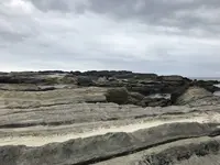 城ケ島の写真・動画_image_307257