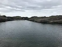 城ケ島の写真・動画_image_307258