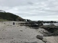 城ケ島の写真・動画_image_307263