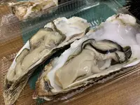 函館自由市場の写真・動画_image_308368