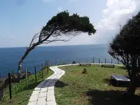 聖域の岬 青の洞窟の写真・動画_image_308541