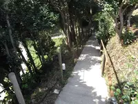 聖域の岬 青の洞窟の写真・動画_image_308542