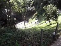 聖域の岬 青の洞窟の写真・動画_image_308544