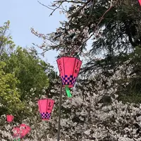 道後公園の写真・動画_image_308606