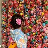 圓満寺の写真・動画_image_308608