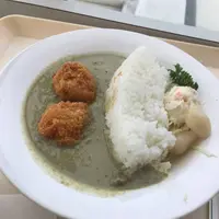 黒部ダムの写真・動画_image_308611