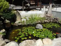大本山 須磨寺の写真・動画_image_308795