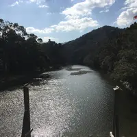 伊勢神宮の写真・動画_image_308859
