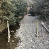 伊勢神宮の写真・動画_image_308860