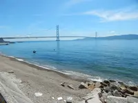 N'OCEANの写真・動画_image_308866