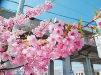 茨木酒造合名会社の写真・動画_image_309006