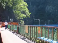 黒部峡谷鉄道の写真・動画_image_309087