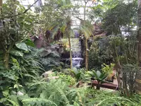 茨城県植物園の写真・動画_image_30911