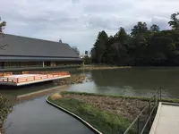 伊勢神宮外宮（豊受大神宮）の写真・動画_image_309112