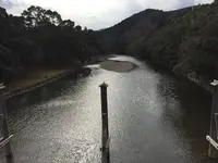 伊勢神宮内宮（皇大神宮）の写真・動画_image_309136