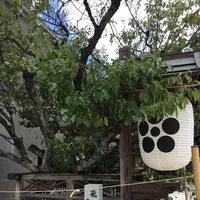 北野天満宮の写真・動画_image_309188