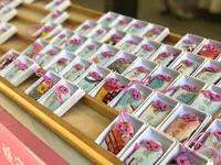 下鴨神社（賀茂御祖神社）の写真・動画_image_309227