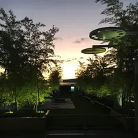 京都駅の写真・動画_image_309316