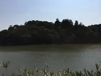 剣池の写真・動画_image_309428