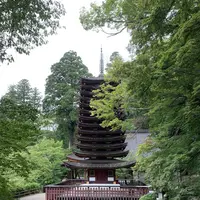 談山神社の写真・動画_image_309472