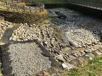 亀形石造物遺構の写真・動画_image_309476