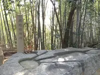 酒船石の写真・動画_image_309480