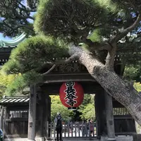 長谷寺の写真・動画_image_309653
