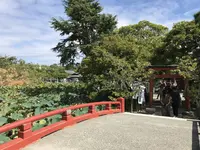 旗上弁財天社の写真・動画_image_309662