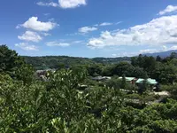 金沢城公園の写真・動画_image_309874