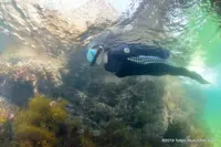 城原海岸の写真・動画_image_309897