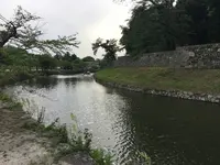 彦根城の写真・動画_image_309965