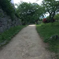 彦根城の写真・動画_image_309967