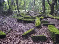 大山の写真・動画_image_310023