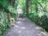 大山の写真・動画_image_310026
