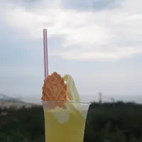 砂丘センター 見晴らしの丘の写真・動画_image_310045