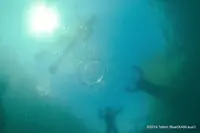 城原海岸の写真・動画_image_310055