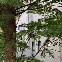 伝・沖田総司終焉の地の写真・動画_image_310244