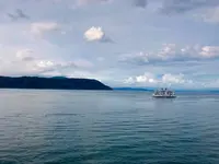 桜島の写真・動画_image_310298
