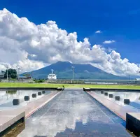 桜島の写真・動画_image_310299