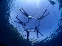 青の洞窟の写真・動画_image_310351