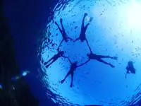 青の洞窟の写真・動画_image_310352