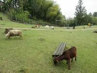 兵庫県立但馬牧場公園の写真・動画_image_310708