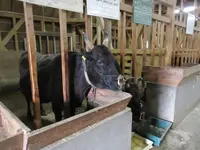 兵庫県立但馬牧場公園の写真・動画_image_310710