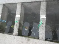 足湯「ふれ愛の湯」の写真・動画_image_310713