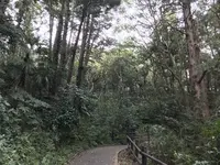 陣ケ下渓谷公園の写真・動画_image_310877